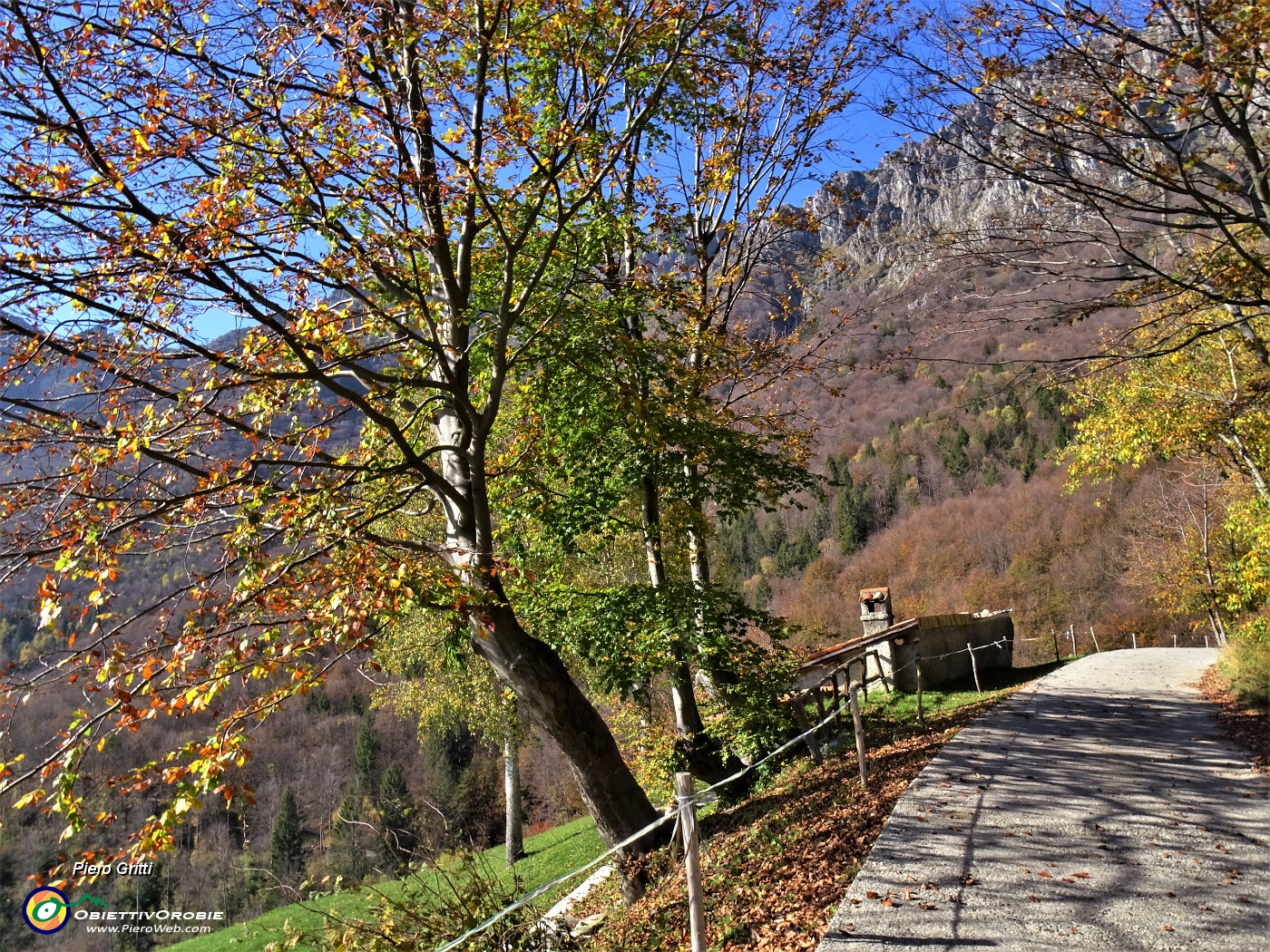 62 Splendidi colori autunnali.JPG